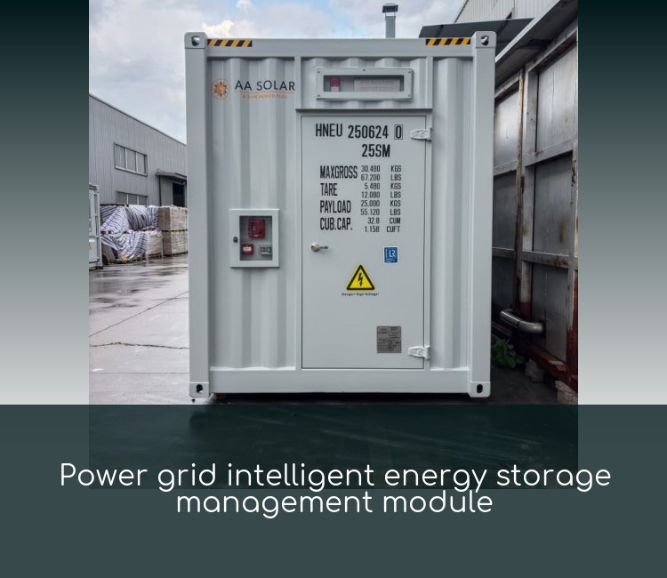 Power grid intelligent energy storage management module