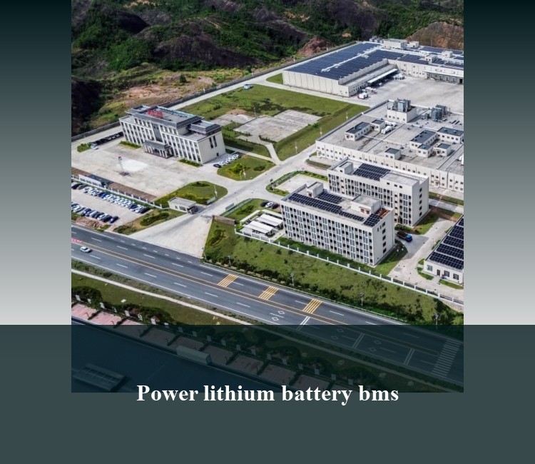 Power lithium battery bms