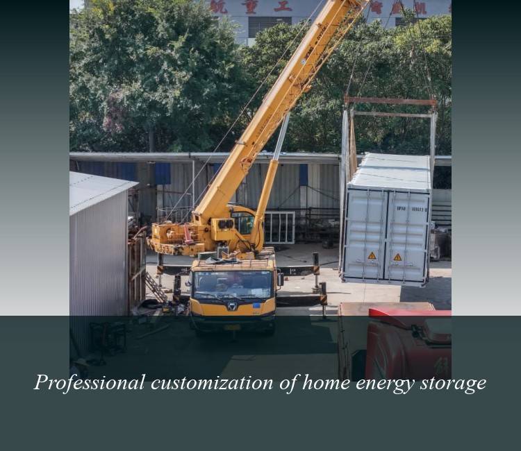 Professional customization of home energy storage