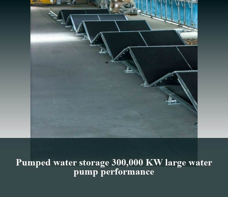 Pumped water storage 300,000 KW large water pump performance
