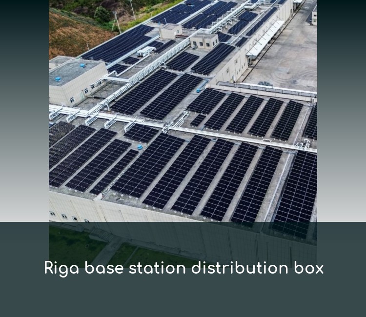 Riga base station distribution box