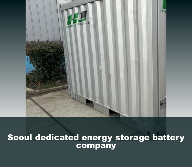 Seoul dedicated energy storage battery company