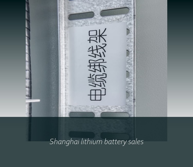 Shanghai lithium battery sales