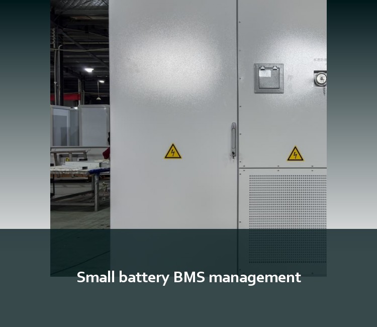 Small battery BMS management