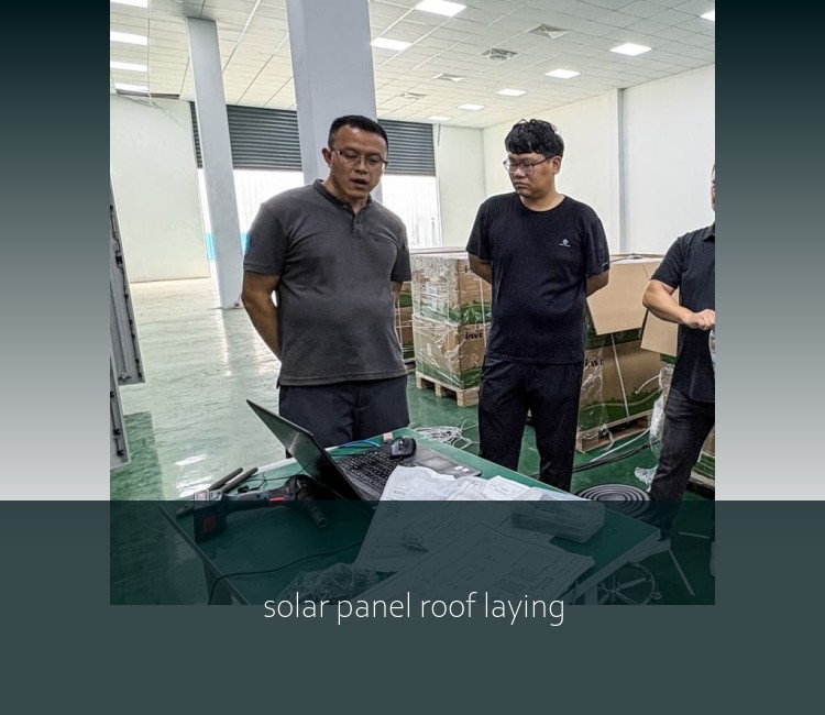 solar panel roof laying