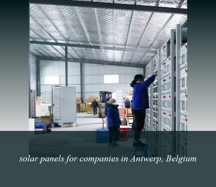 solar panels for companies in Antwerp, Belgium