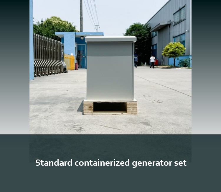 Standard containerized generator set