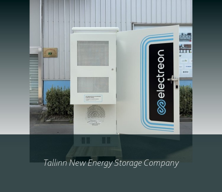 Tallinn New Energy Storage Company