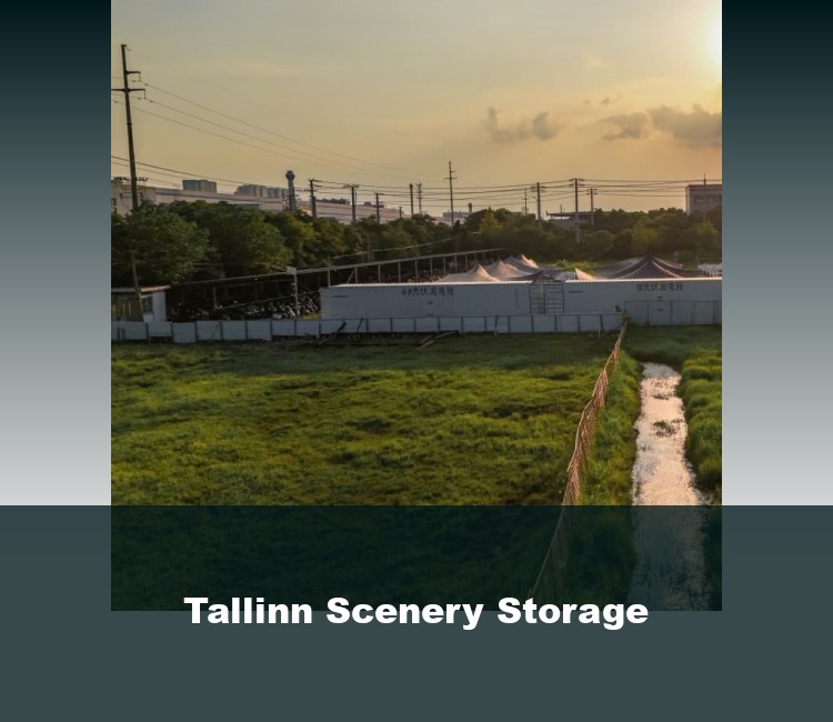 Tallinn Scenery Storage