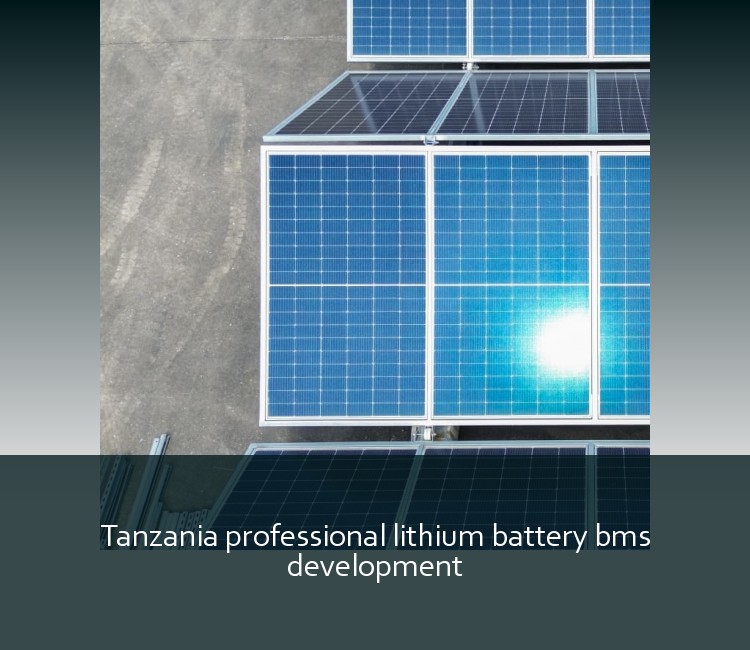 Tanzania professional lithium battery bms development