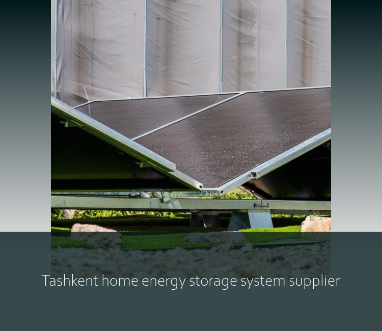 Tashkent home energy storage system supplier