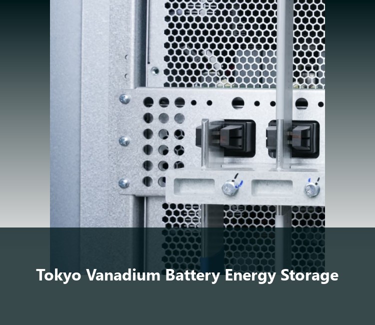 Tokyo Vanadium Battery Energy Storage