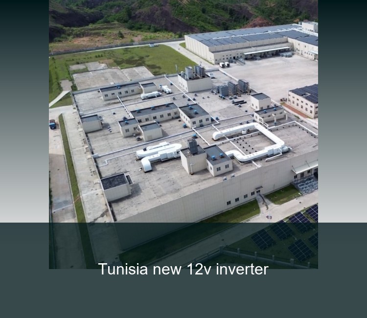 Tunisia new 12v inverter