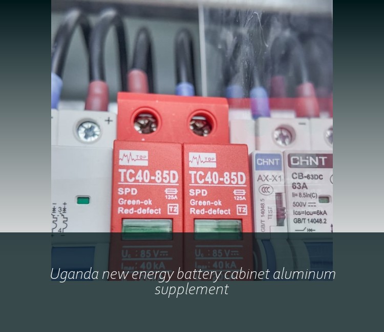 Uganda new energy battery cabinet aluminum supplement