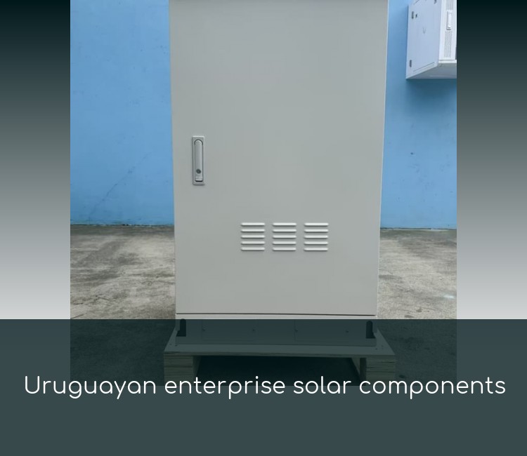 Uruguayan enterprise solar components