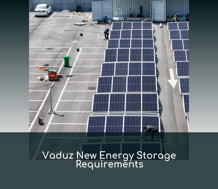Vaduz New Energy Storage Requirements