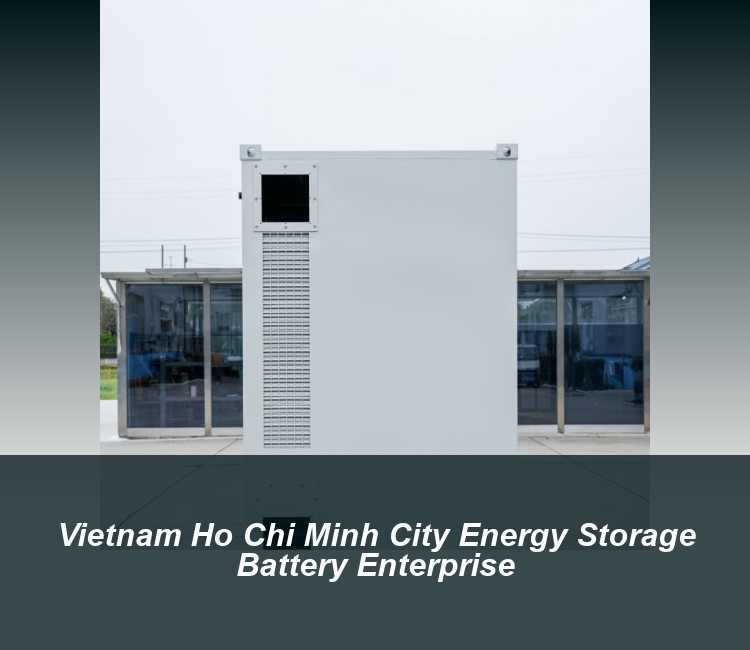 Vietnam Ho Chi Minh City Energy Storage Battery Enterprise