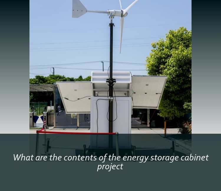 What are the contents of the energy storage cabinet project