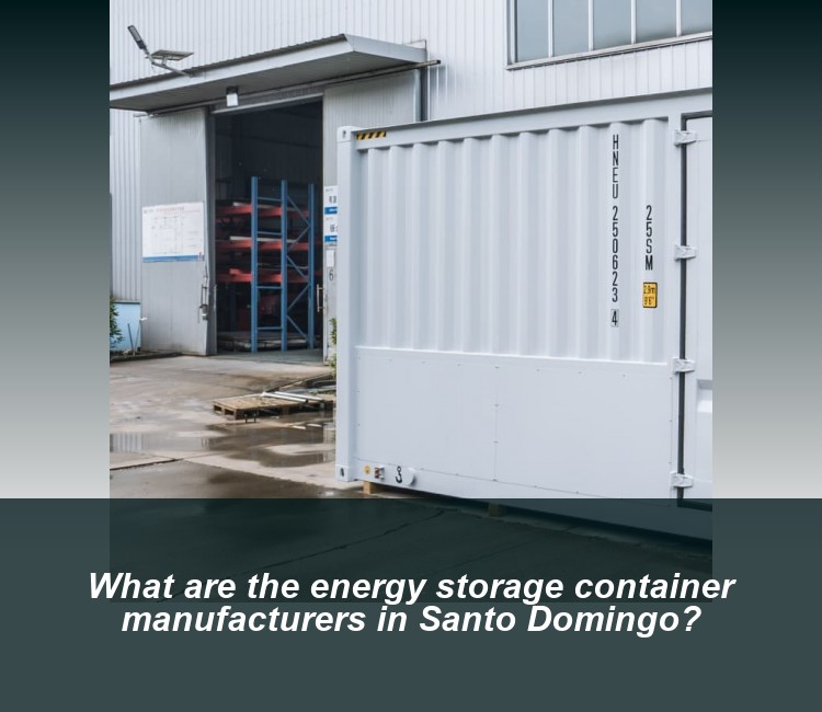 What are the energy storage container manufacturers in Santo Domingo?