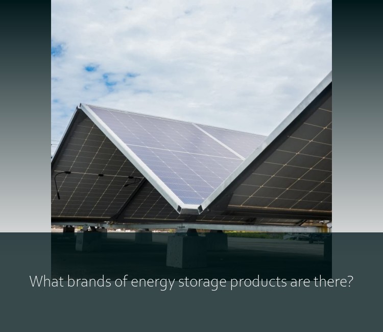 What brands of energy storage products are there?