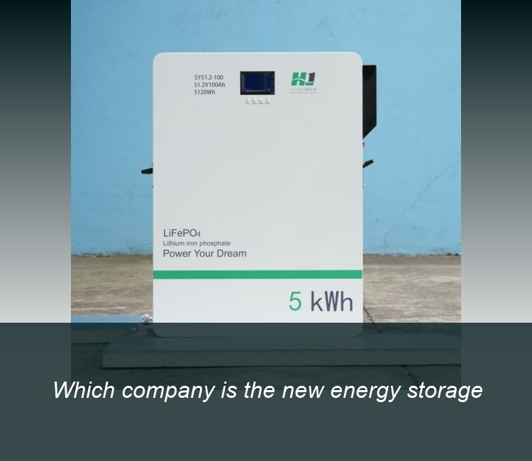 Which company is the new energy storage