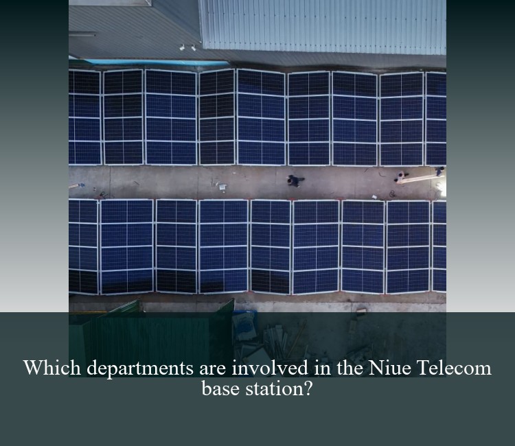 Which departments are involved in the Niue Telecom base station?