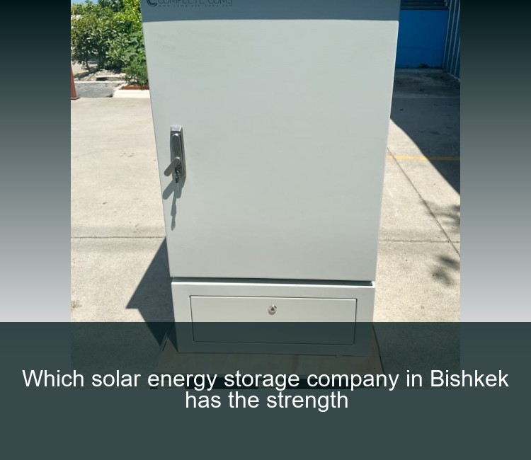 Which solar energy storage company in Bishkek has the strength