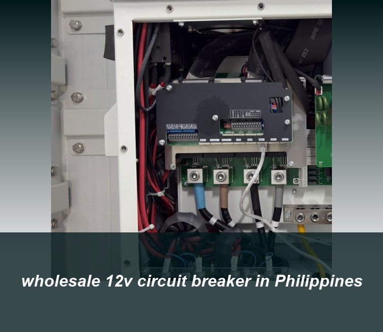 wholesale 12v circuit breaker in Philippines