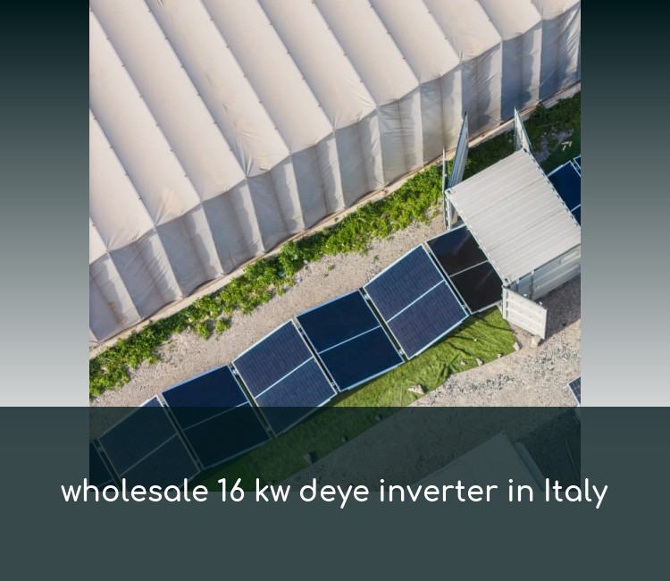 wholesale 16 kw deye inverter in Italy
