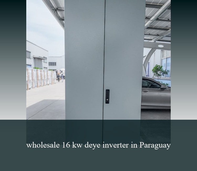 wholesale 16 kw deye inverter in Paraguay