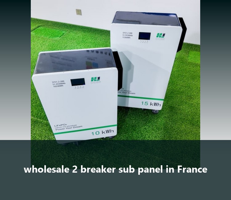 wholesale 2 breaker sub panel in France