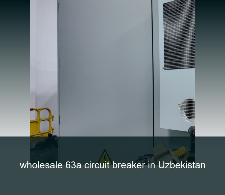 wholesale 63a circuit breaker in Uzbekistan