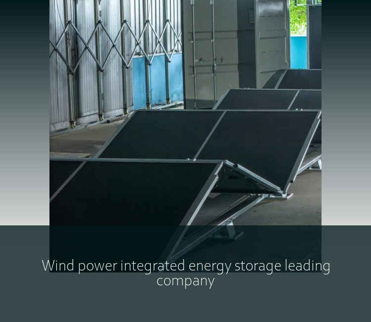 Wind power integrated energy storage leading company